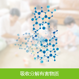 圖片名稱